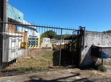 edited-image-1781054605849.jpg · Terreno, 381 m², em Cascata
