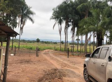 20250311_144120_281495.jpg · Fazenda à Venda – 110 Hectares | Exclusiva para Pecuária | Próxima de