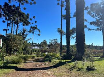 Rural · 156963m² · Área industrial com 156.963 m² e acesso estratégico à BR-116 em Campina Grande do Sul