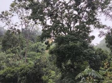 ddf162bd5cda2a505ade414997868421 · Terreno com casa de 3 quartos, Centro - Pancas