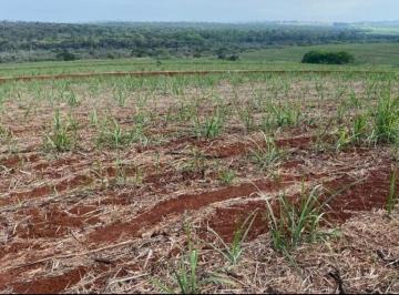 Foto 01 · FAZENDA COM CANA A VENDA NA REGIÃO DE SÃO CARLOS-SP ??   Área Total 67 Alqueires   53 Alqueires em C