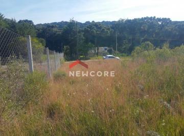 Terreno · 2048m² · Lote em condomínio em Rs 453 - Vila Apanhador - São Francisco de Paula/RS