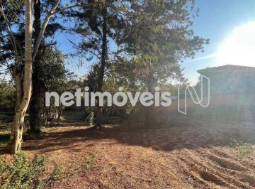 06f1700f-76b7-4c3e-953f-10f063fddc01.webp · Lote Grande | Condomínio Ouro Vermelho | Jardim Botanico | area particular | lote 2.000m2