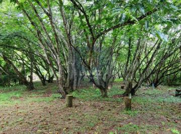 Terreno · 3736m² · 1 Quarto · Chácara em Centro  São Lourenço da Serra  -  São Lourenço da Serra