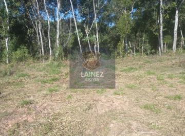 Terreno · 3000m² · Lote / Terreno em Centro - São Lourenço da Serra