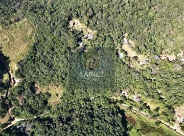 Terreno · 16000m² · Lote / Terreno em Centro - Juquitiba