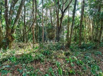 Terreno · 4472m² · Lote / Terreno em Centro  -  Juquitiba