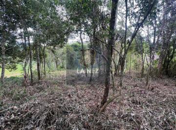 Terreno · 1000m² · Lote / Terreno em Itatuba - São Lourenço da Serra