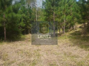 Terreno · 20000m² · Lote / Terreno em Centro - São Lourenço da Serra