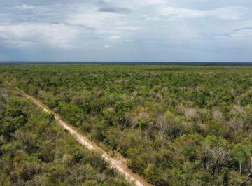 fazenda-a-venda-em-baianopolis-501725580.jpeg · Fazenda à venda em Baianópolis, Zona Rural, 4046,42ha