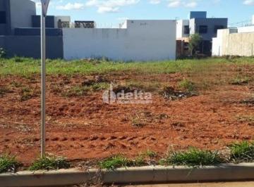 NULL · Terreno disponível para venda 250 m² no bairro Quinta Alto Umuarama em Uberlândia-MG
