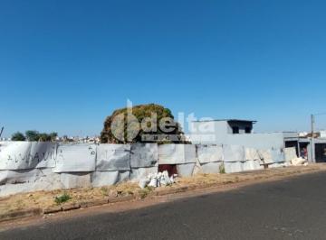 NULL · Terreno disponível para venda 520 m² no bairro Tibery em Uberlândia-MG