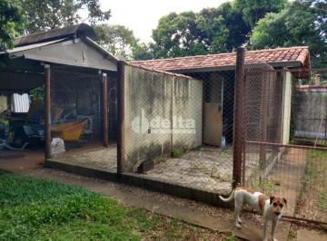 NULL · Chácara disponível para venda no bairro Panorama em Uberlândia-MG