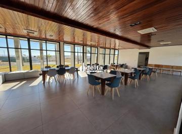 Casa · 199m² · 4 Quartos · 4 Vagas · Casa no condomínio Terras Alpha disponível para venda em Uberlândia-MG