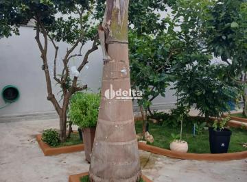 Casa · 250m² · 3 Quartos · 3 Vagas · Casa com 3 quartos sendo 2 suítes disponível para venda no bairro Cidade Jardim em Uberlândia MG