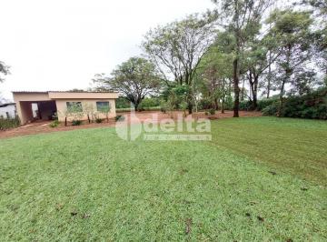 NULL · Chácara disponível para venda na Zona Rural de Uberlândia em Uberlândia-MG