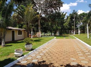 NULL · Chácara disponível para venda na Zona Rural de Uberlândia em Uberlândia-MG
