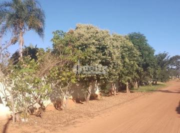 NULL · Chácara Residencial disponível para Venda no bairro Área Rural em Uberlândia-MG