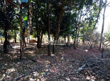 NULL · Chácara Residencial disponível para Venda no bairro Área Rural em Uberlândia-MG
