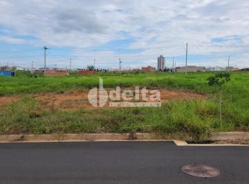NULL · Terreno disponível para venda 250 m² no bairro Aclimação em Uberlândia-MG