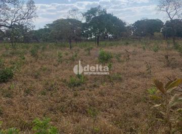 NULL · Chácara disponível para venda na Zona Rural de Uberlândia em Uberlândia-MG