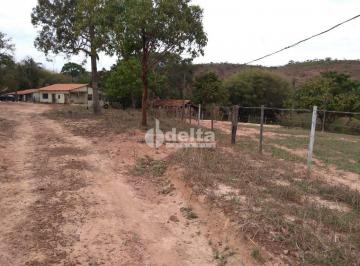 NULL · Fazenda disponível para venda na Zona Rural de Uberlândia em Uberlândia-MG