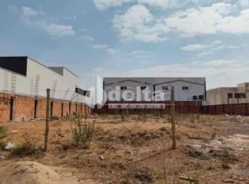 Terreno · 600m² · Terreno disponível para venda no bairro Alto Umuarama em Uberlândia-MG