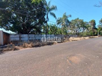 NULL · Chácara Residencial disponível para Venda no bairro Mansões Aeroporto em Uberlân