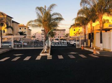 NULL · Apartamento disponível para venda no bairro Mansour em Uberlândia-Mg