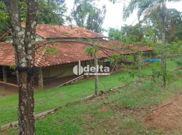 Rural · 5000m² · 2 Quartos · 2 Vagas · Chácara disponível para venda no bairro Recreio Lago Azul em Uberlândia-MG