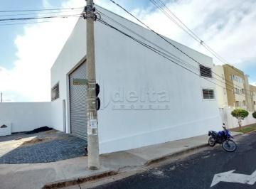 Comercial · 250m² · Galpão disponível para locação e venda no bairro Shopping Park em Uberlândia-MG