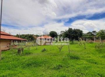 NULL · Chácara disponível para venda no bairro Chácaras Eldorado em Uberlândia-MG