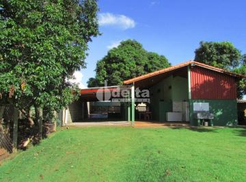 NULL · Chácara disponível para venda na Zona Rural de Uberlândia em Uberlândia-MG