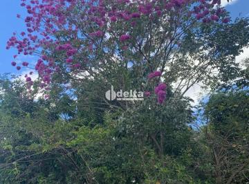 Rural · 6600m² · 3 Quartos · 5 Vagas · Chácara disponível para venda na região rural em Uberlândia-MG