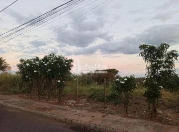 NULL · Terreno disponível para venda no bairro Cidade Jardim em Uberlândia-MG