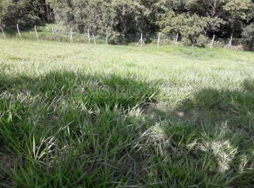 2021091018004384555.jpeg · Terreno para Venda em Cotia, Granja Viana