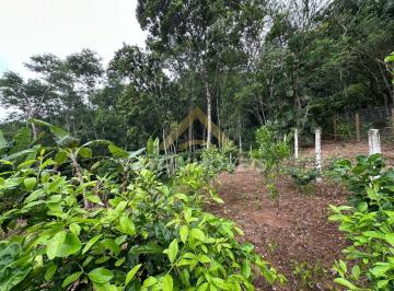202503140914076990.jpeg · Terreno para Venda em Florianópolis, Córrego Grande