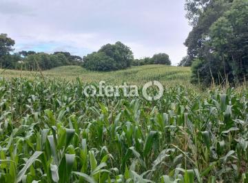 Rural · 20000m² · Chácara em Araucária / Lagoa Grande