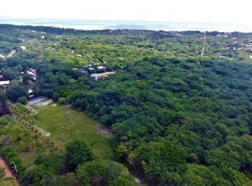 202503131839424350.jpeg · Terreno para Venda em Tibau do Sul, Praia de Pipa