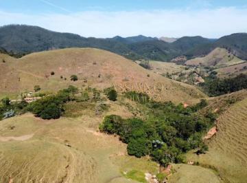 Terreno · 74000m² · Sítio à venda de 74.000,00m² | Centro - São Francisco Xavier |