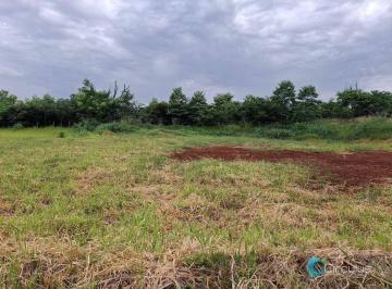 fc3ed47b627be015e19e2a1dcce6eb0ecf7a9362 · Terreno uso misto à venda, 1500 m² - City Ribeirão - Ribeirão Preto/SP