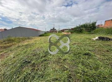 79580f48087c615bdb6d1914e30ef1a0ca0c70d6 · Terreno à venda, 250 m² por R$ 165.000,00 - Gleba Esperança - Londrina/PR