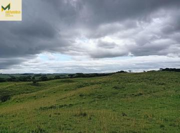 Rural · 233ha · Fazenda com 233 há em Cambará do Sul!!