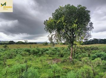 Rural · 233ha · Fazenda com 233 há em Cambará do Sul!!
