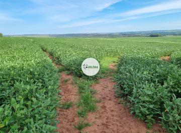 Rural , Jataí ·  Fazenda a venda em Goiás - Jataí-GO - 304 HA TOTAIS - 183 HA de lavoura 