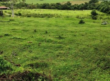 Rural de 3 quartos, Santo Antônio da Alegria · Sítio terra vermelha ,bom para abacate ,café etc ...