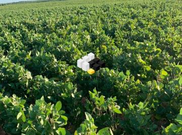 Rural · 410ha · Vendese Fazenda Área Rural em Rosário do Sul RS