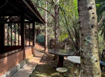 Casa · 5000m² · 4 Quartos · Sua Casa na Floresta: Um Refúgio em Santo Antonio do Pinhal