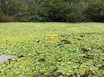 Terreno · 5 HECTARES A VENDA SITIO SALGADO SOLANEA-PB