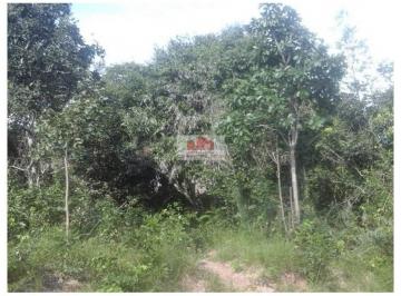 67959ad29c038c265a9bcd2b677da6cd.jpg · Fazenda com 908 hectares, dupla aptidão, terra bruta, própria para pecuária, muita água de superfici